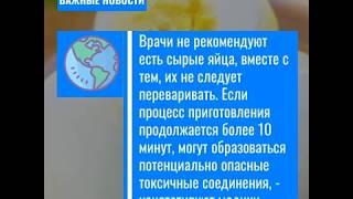 Чем опасны вареные яйца: ответ медиков 18+