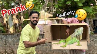 കൈ ഇടല്ലേ പപ്പേ... കടിക്കും  | Pranked my Father