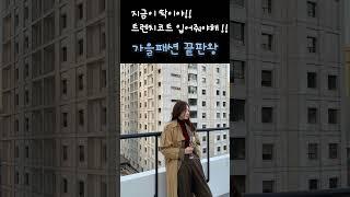 가을 트렌치코트 이렇게 입어보자  #트렌치코트#가을코디#트렌치#패션 #룩북#shorts#옷잘입는연예인