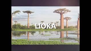 Lioka (Luke) Malagasy | Good News | Audio Bible