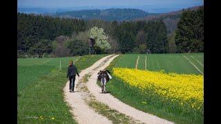 Eselwanderstation in der Eifel (Bongard) Petra Landsberg