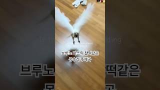 감동적인 뮤직비디오 (아빠몽몽)