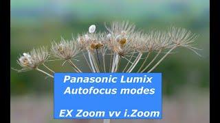 Panasonic Lumix FZ1000 Autofocus and i Zoom Explained