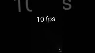 5 fps 10 fps 20 fps