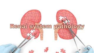 Renal system pathology 3rd lecture.