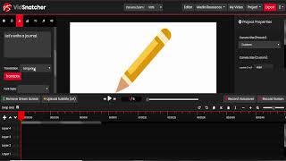 VidSnatcher Demo Review Walkthrough
