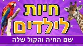 חיות לילדים | קולות של חיות