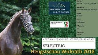 Selectric @ Wickrath 2018