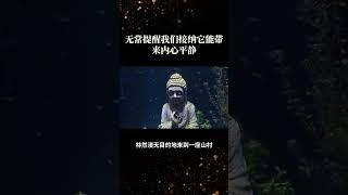 【佛陀与心理】无常提醒我们接纳它能带来内心平静 #深度自我覺察 #哲學 #人生感悟 #心理學博士 #人間心理 #心の哲学 #情感