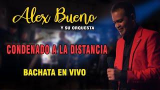 ALEX BUENO 2024 - CONDENADO A LA DISTANCIA (LIVE)