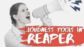 New Loudness Tools in Reaper | Reaper for Podcasting