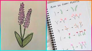 99 Ways of Drawing & Painting Flowers