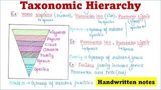 Taxonomic Hierarchy