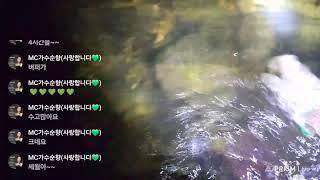 다슬기잡기생방송 가수순향흥보