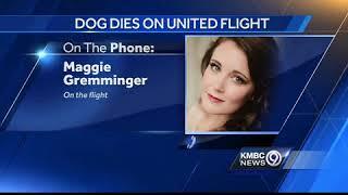 Shawnee, Kan. native says United passenger's dog died after being placed in the overhead bin