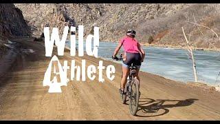 Mountain biking through Waterton Canyon, Colorado USA