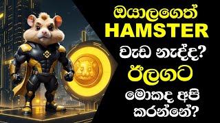 Hamster Combat New Update Sinhala | Hamster Combat Withdraw