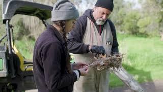 Penthouses for Parrots | Australian Conservation Foundation | ACF