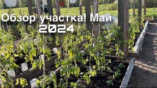 Обзор участка на 17 мая 2024.