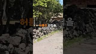 제주도 시골에 허름한 빈집 샀다가 소름돋는 일이 생겼습니다