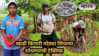 खाडी किनारी मोठ्या शिंपल्या शोधण्याची टेक्निक | म्हारय | RAJAPUR #fishing #nature #kokan #farming