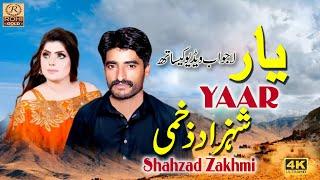 YAAR //Shahzad Zakhmi (Official Video) Latest Saraiki Vip Song 2022 // ROHI GOLD Pakistan