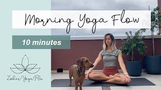 Morning Yoga Flow | 10min with Zohar.Yoga.Flex