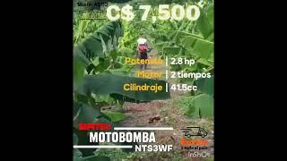 Fumigadora 3WF Disponible en MASTER AGRO