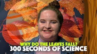 Why Trees Shed Their Leaves | 30 Seconds of Science