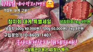 6/16일 킹크랩 대게 꽃게 모둠회 04시반 정규라이브(월~토)️Only one 새롭고 싸고  노량진수산시장 새벽 쇼핑을 돕는 정규생방송(Live)운영~