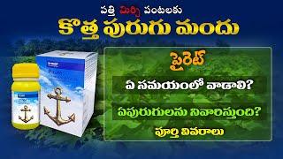 Pirate BASF Telugu || Pirate insecticide uses in Telugu || Kisan Bhai Johnny