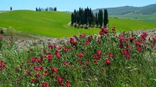 San Quirico d'Orcia in 4K UHD - HLG HDR. Sony a7-IV (M4)