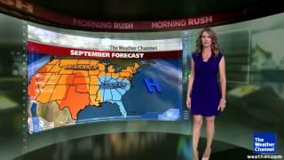 Summer into Fall Forecast