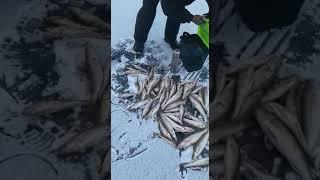 Видео №6