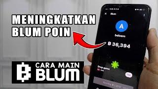 Cara Cepat Mengumpulkan Blum Poin (BP)  | Tutorial Blum untuk Pemula | BKD tutorials