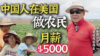 Hawaiian Farmer33岁一句英语不会的湖南大哥在夏威夷做成了农场主！在美国做农民月薪4000美金，