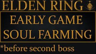 My Soul Farming Strategy in Elden Ring (Early Game Rune Farming Guide)