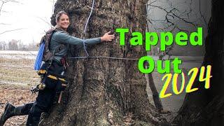 Last Day Tapping Trees