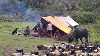 This is Himalayan Shepherd Life || Very Hardworking Nepali Village || Primitive Rural Village.