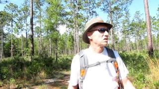 Hiking Black Creek Ravines Conservation Area, Clay County, Florida - Southern section