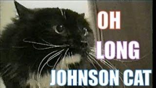 Talking Cat Saying "Oh Long Johnson"