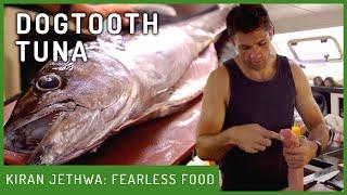 Butchering & Cooking Dogtooth Tuna | Fearless Food | Kiran Jethwa