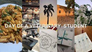 Day ️in life of veterinary student at sindh agriculture university tandojam️