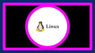 Which linux filesystem works best with SSD