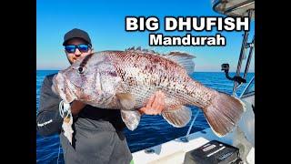 MONSTER DHUFISH CAUGHT OFF MANDURAH | Vexed Bottom Meat