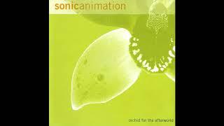 Sonic Animation - ....Or Maybe Not