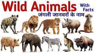 Animals Name | Wild Animals Name in Hindi and English with pictures| जंगली जानवरों के नाम