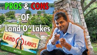 Living in Moving to Land O' Lakes Florida | PROS & CONS Video!