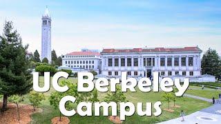 University of California, Berkeley | 4K Campus Walking Tour