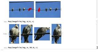 Introduction to Image Processing: Geometric Operations